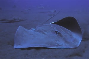 Weichböden - GOMERA VIVE